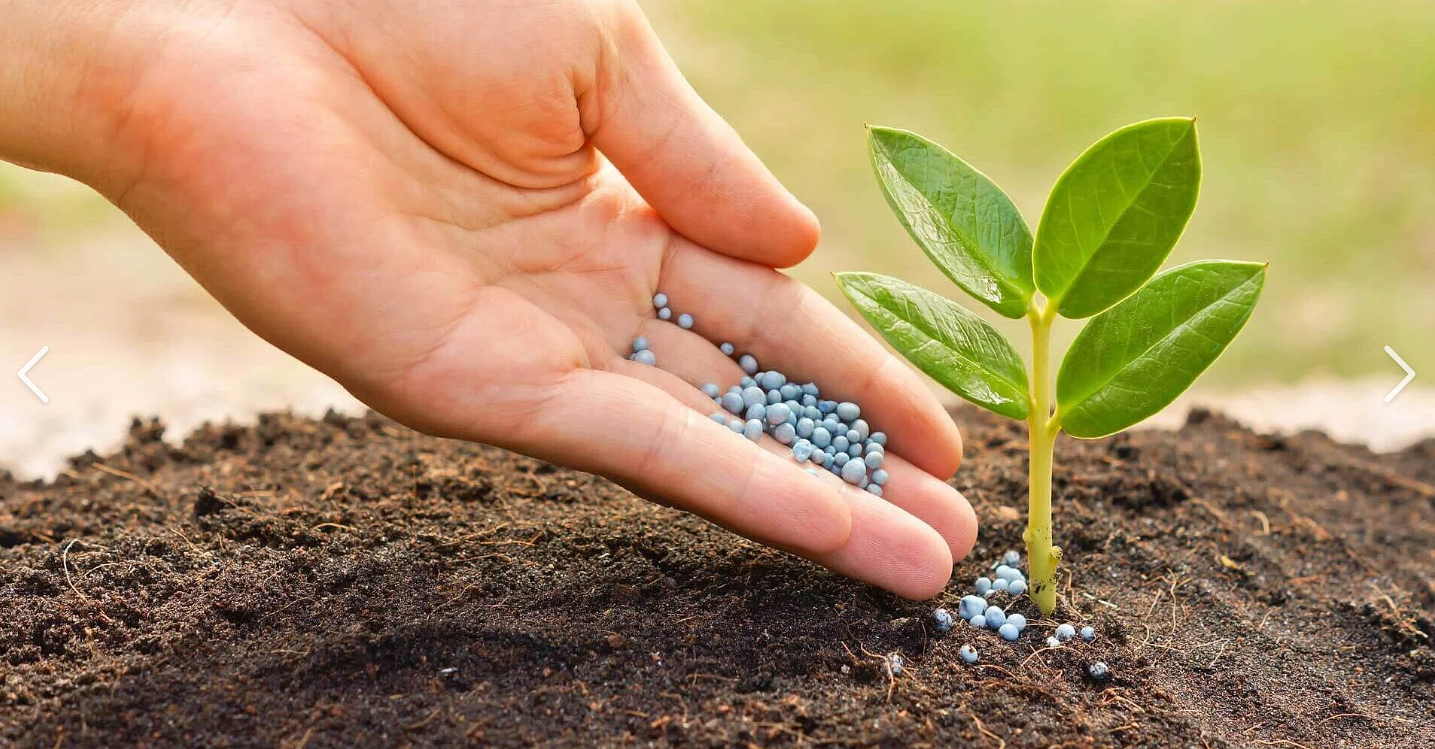 Fertilizer 1