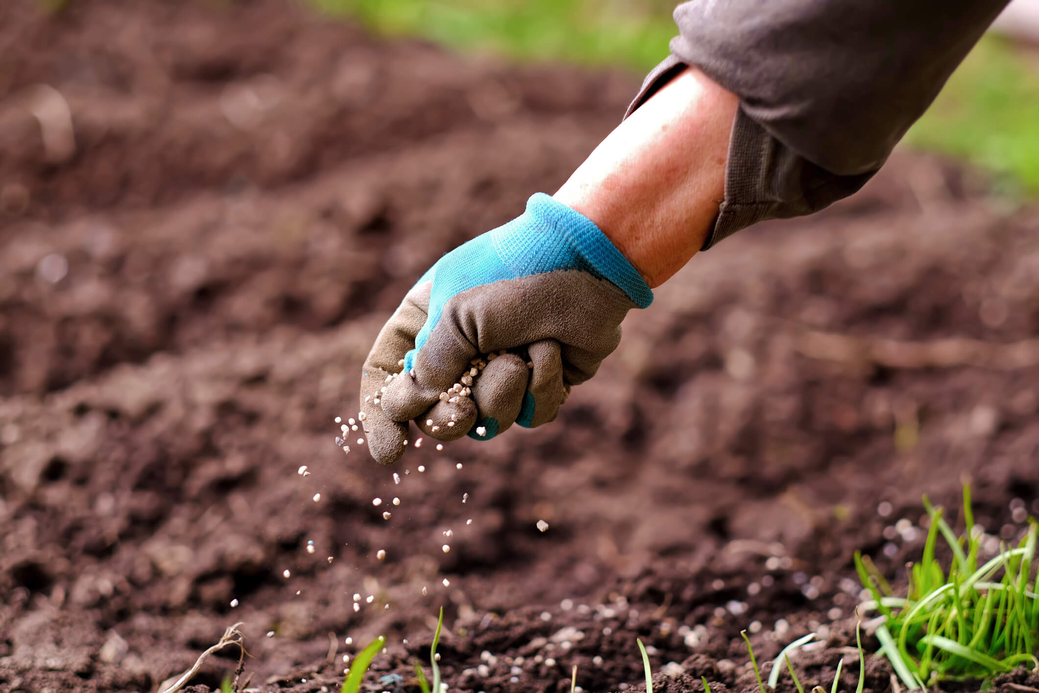 Fertilizer 2